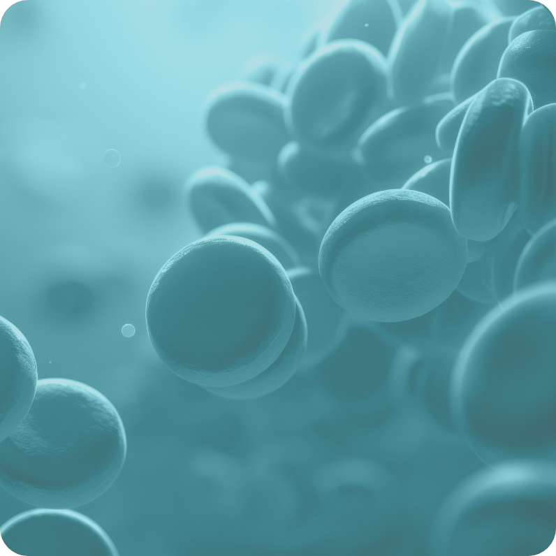 Teal-colored close-up illustration of red blood cells