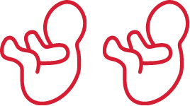 Red icon of two babies representing multiple protected infants