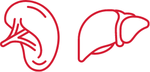 Red line icons of spleen and liver representing organ involvement